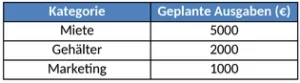 ausgabenplanung-fuer-unternehmer-und-privatpersonen-optimiert