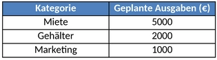 ausgabenplanung-fuer-unternehmer-und-privatpersonen-optimiert