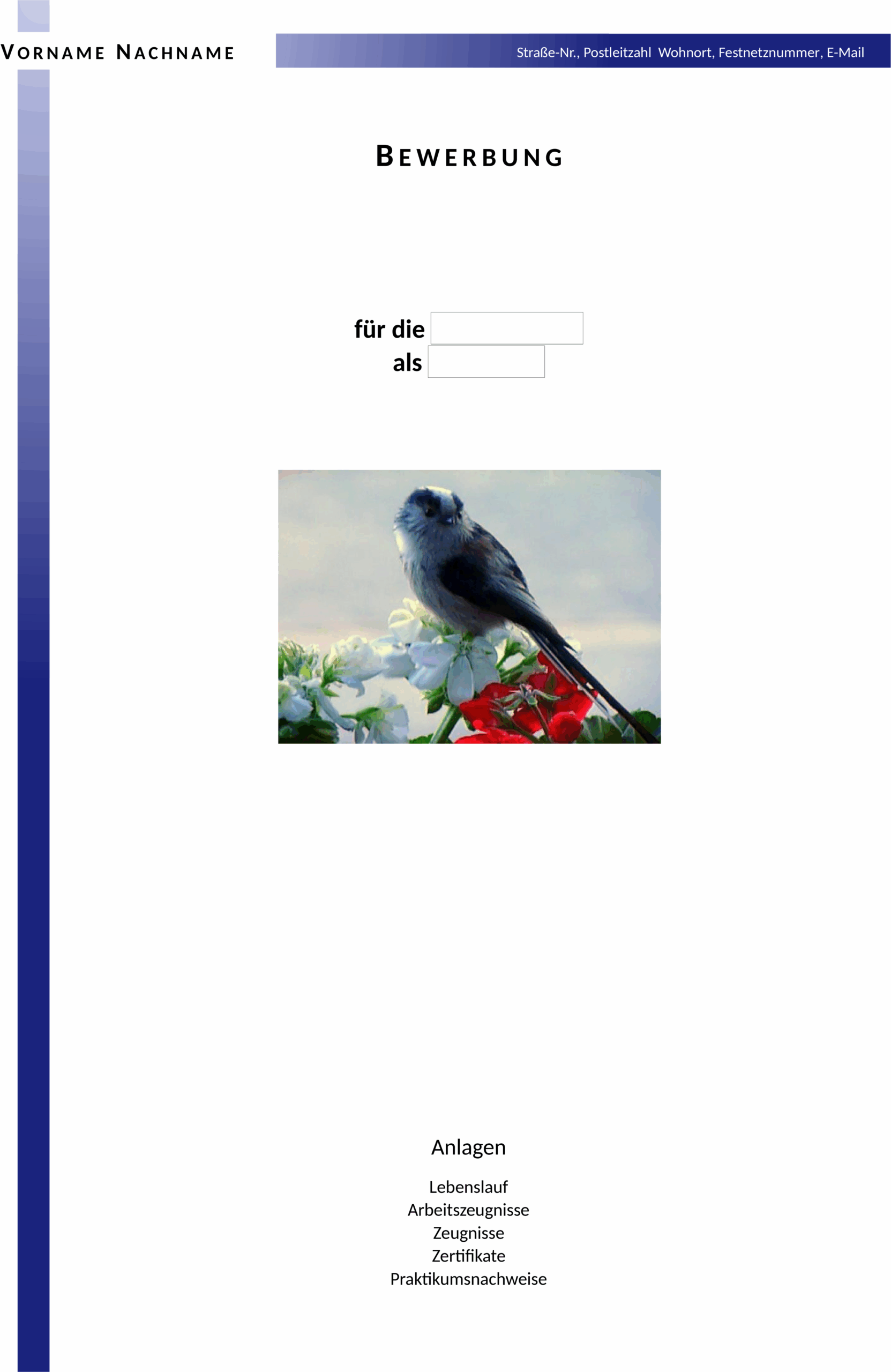 balken-oben-links-indigo.png