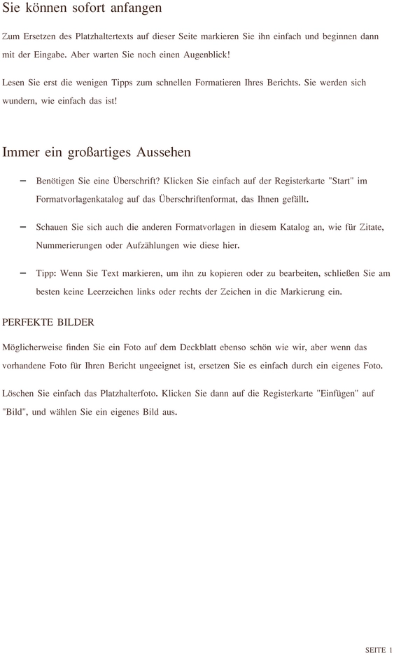 berichtsvorlage-fuer-protokolle-und-berichte