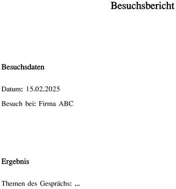 besuchsbericht-vorlage-fuer-dokumentation-von-meetings