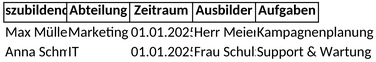 betrieblicher-ausbildungsplan.png