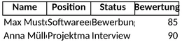bewerbermanagement-excel-vorlage.png