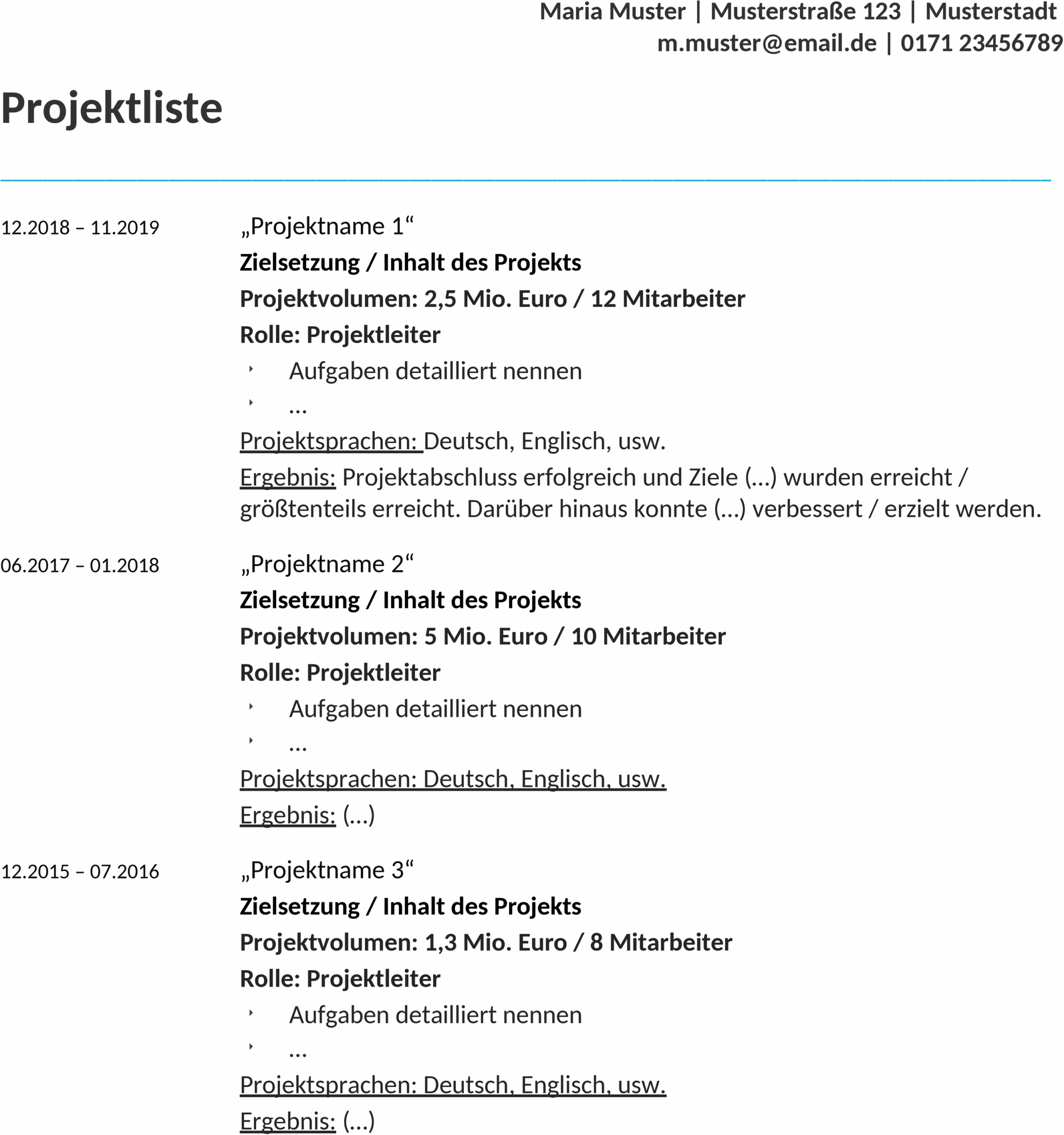 bewerbung-projektliste-vorlage.png