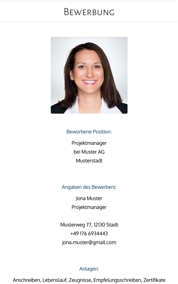 bewerbung-projektmanager-projektleiter.png