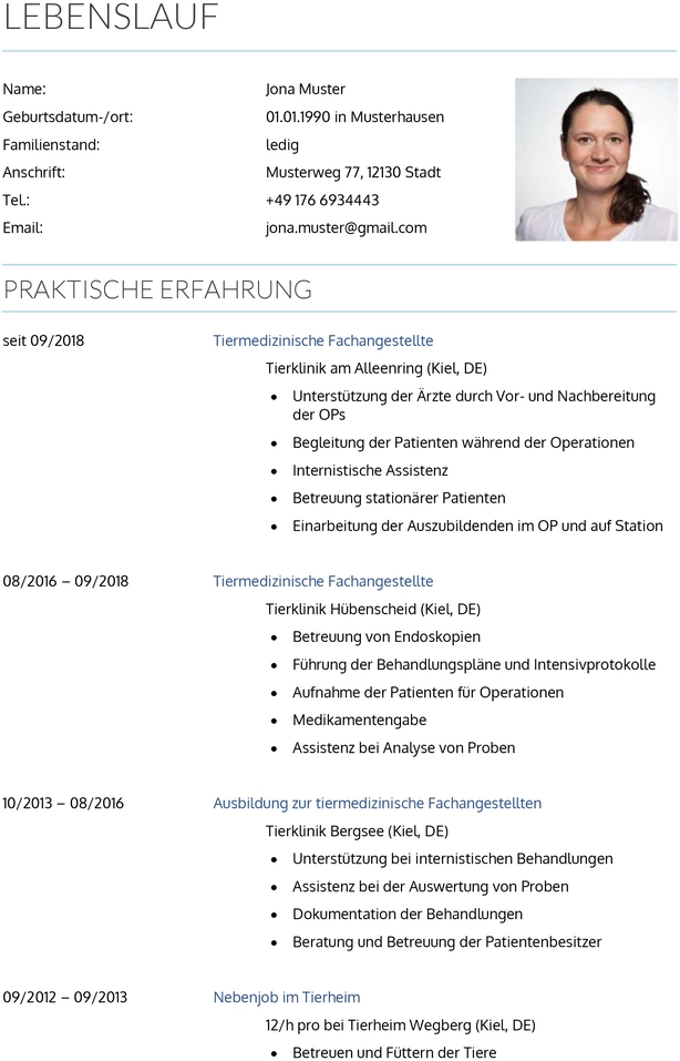 bewerbung-tiermedizinische-fachangestellte-vorlage
