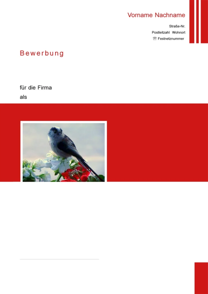 bewerbung-und-lebenslauf-vorlage