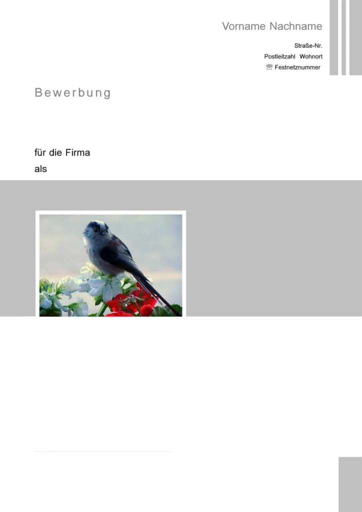 bewerbung-und-lebenslauf-vorlage
