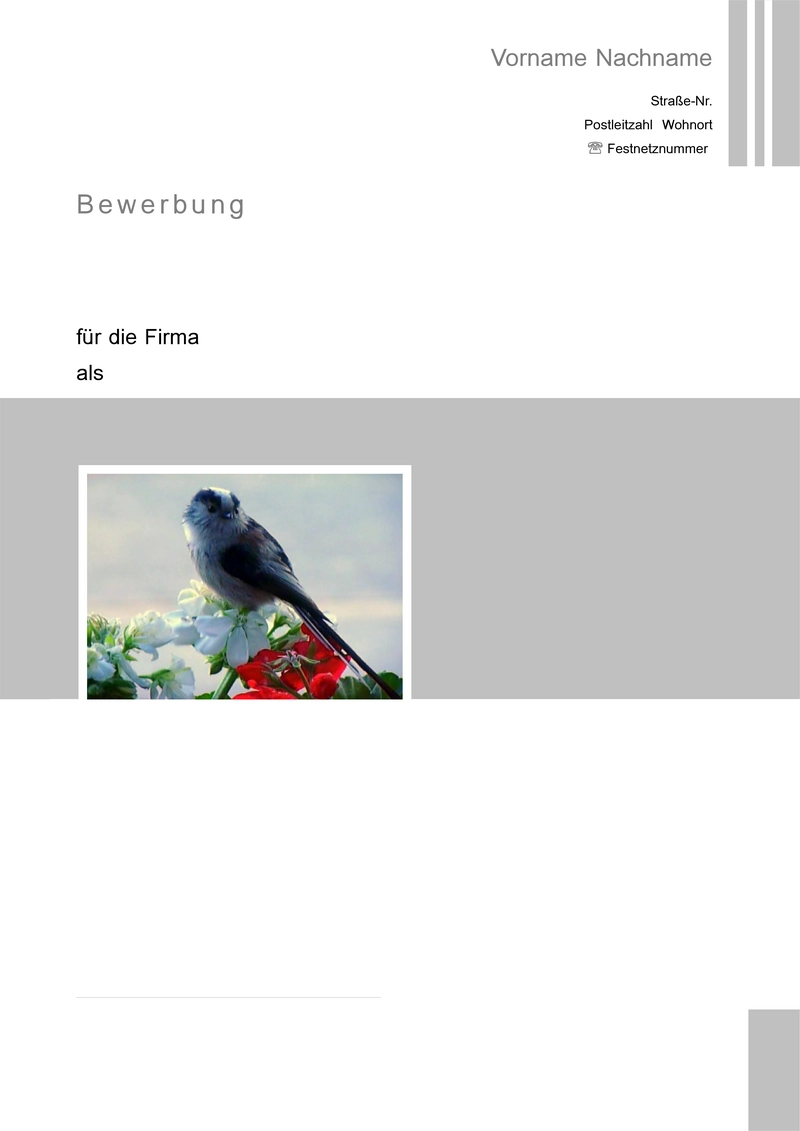 bewerbung-und-lebenslauf-vorlage