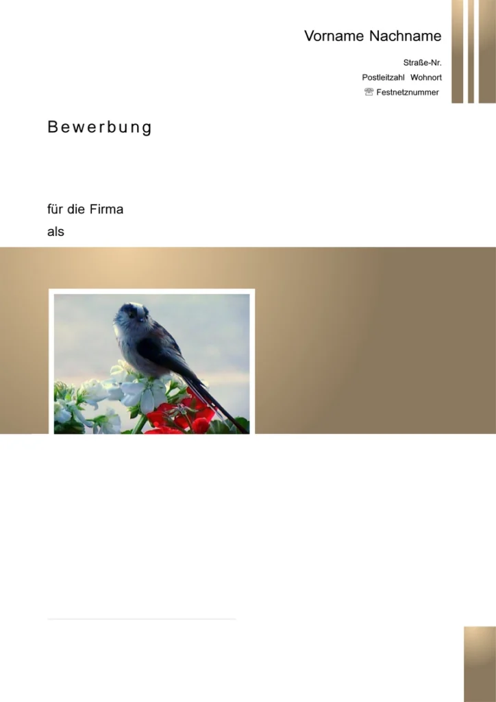 bewerbung-und-lebenslauf-vorlage