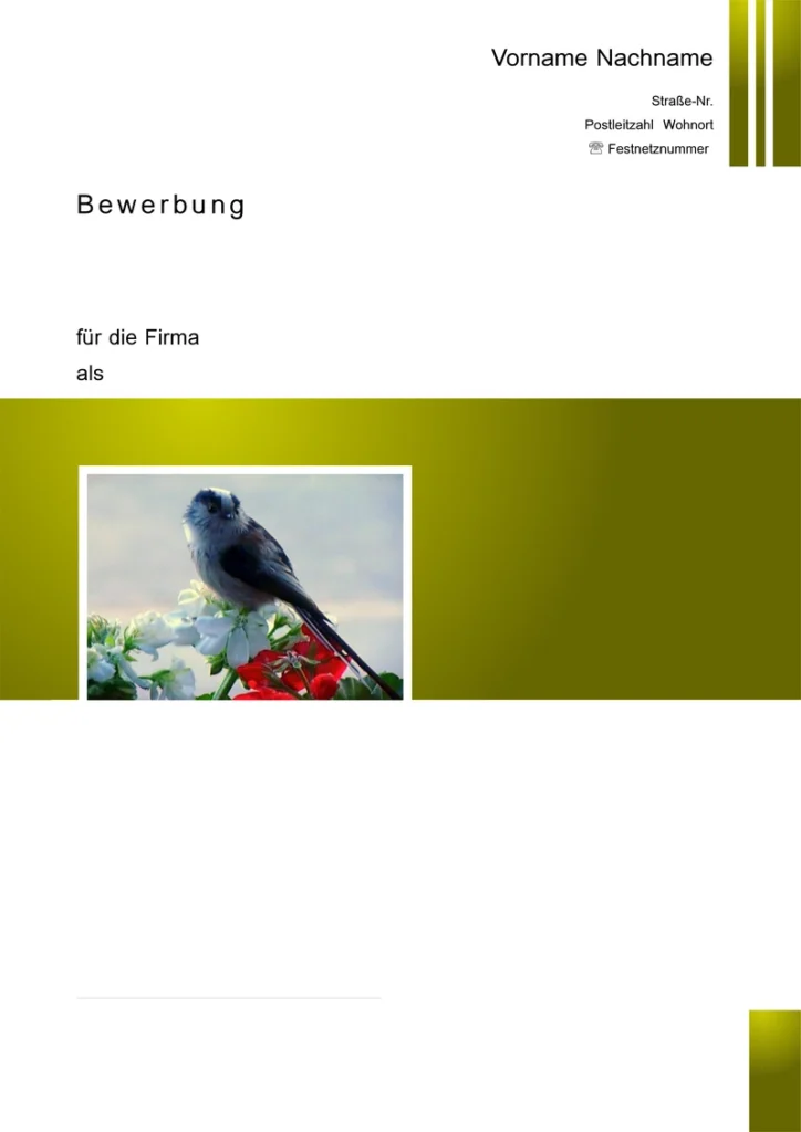 bewerbung-und-lebenslauf-vorlage
