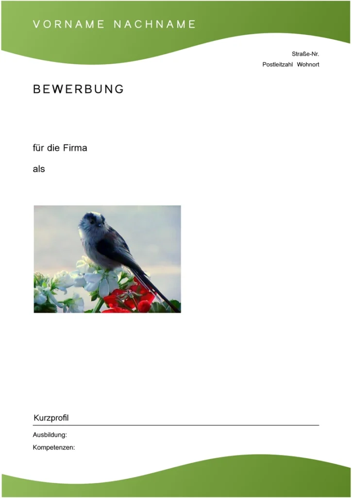 bewerbung-und-lebenslauf-vorlage