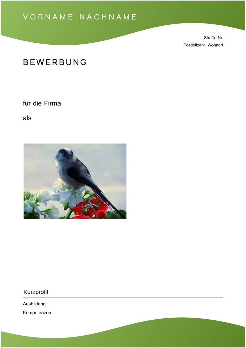bewerbung-und-lebenslauf-vorlage