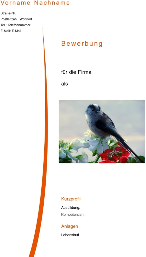 bewerbung-und-lebenslauf-vorlage