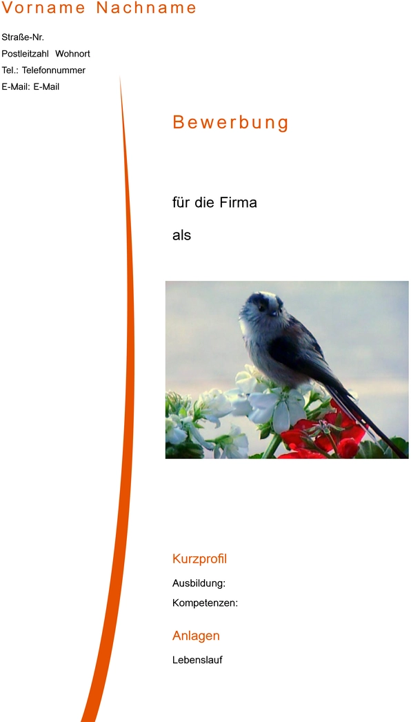 bewerbung-und-lebenslauf-vorlage