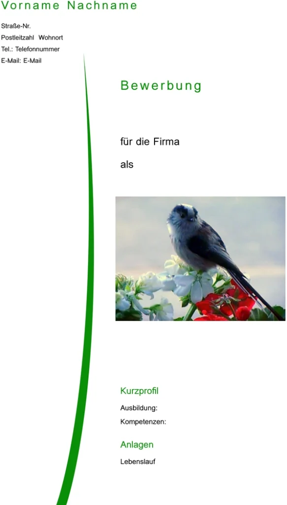bewerbung-und-lebenslauf-vorlage