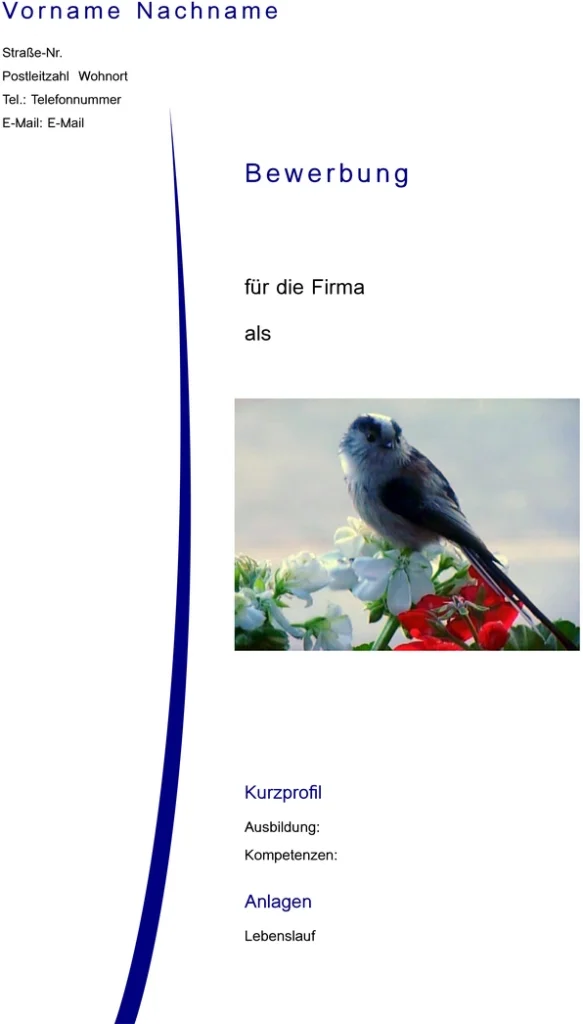 bewerbung-und-lebenslauf-vorlage