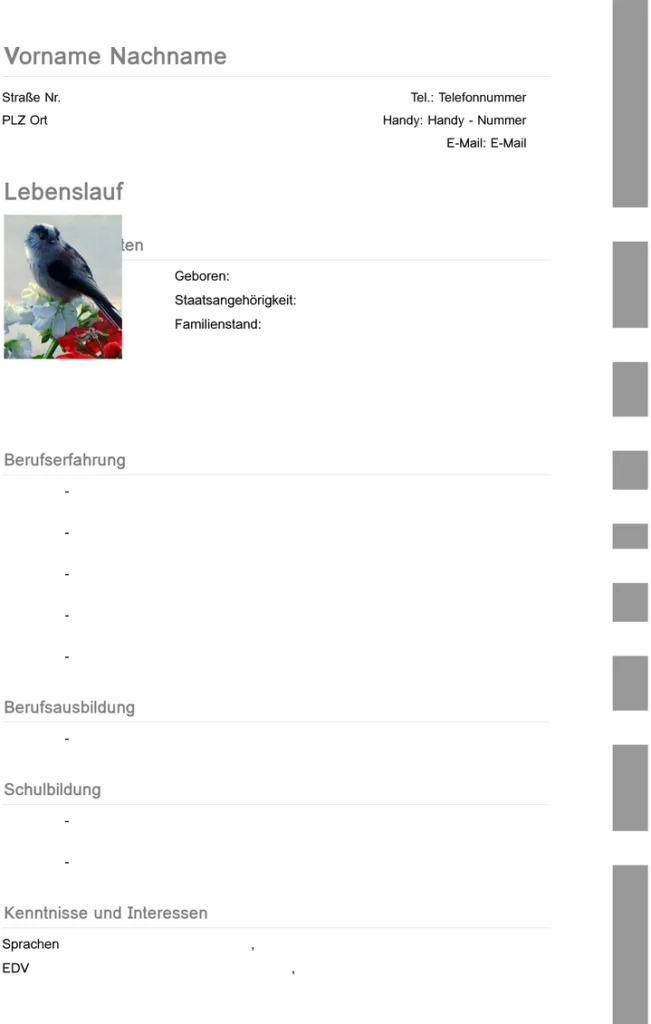 bewerbung-und-lebenslauf-vorlage