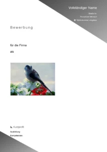 bewerbung-und-lebenslauf-vorlage