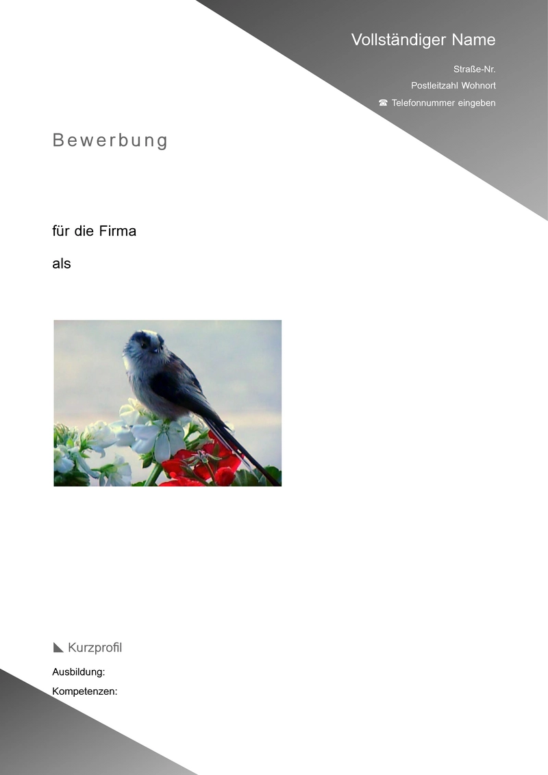 bewerbung-und-lebenslauf-vorlage
