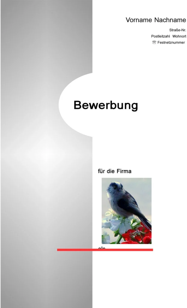 bewerbung-und-lebenslauf-vorlage-gestalten