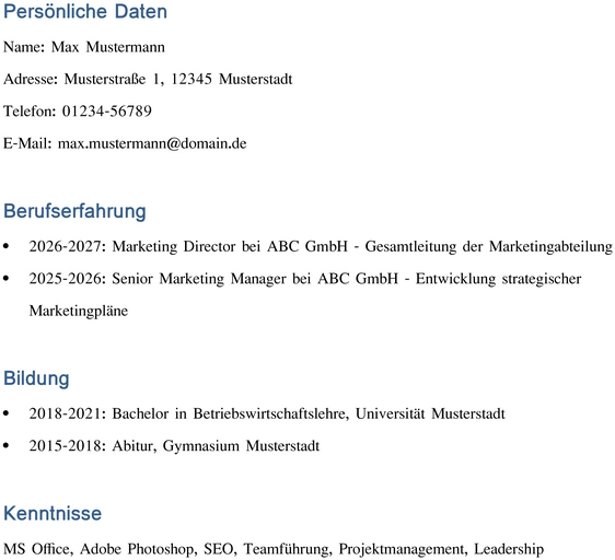 bewerbung-und-lebenslauf-vorlage-optimieren