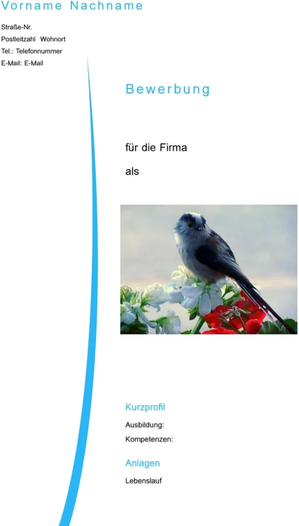bewerbung-und-lebenslauf-word-vorlage