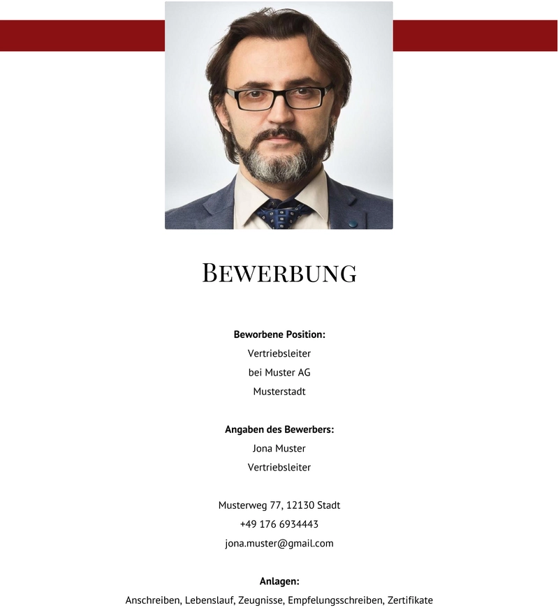 bewerbung-vertriebsleiter-fuehrungskraft.png