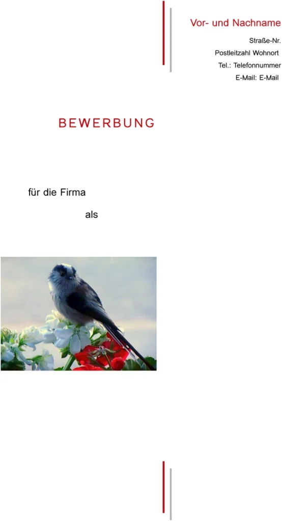 bewerbung-vorlage-deutsch-gestalten