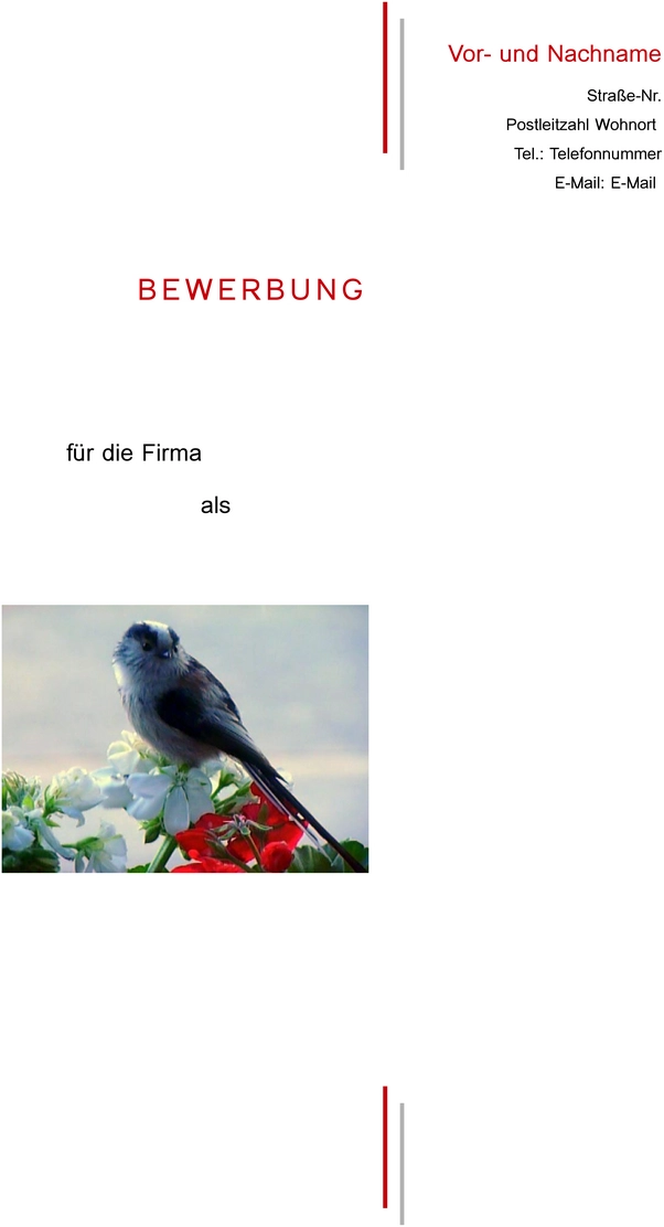 bewerbung-vorlage-deutsch-gestalten