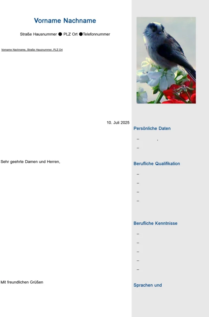 bewerbung-vorlage-fuer-jobs-und-karriere