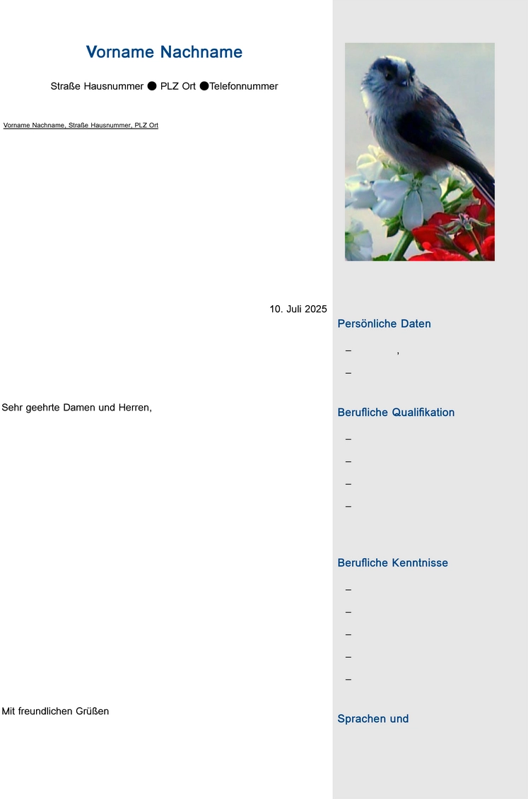 bewerbung-vorlage-fuer-jobs-und-karriere
