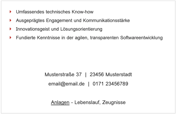 bewerbung-vorlage-fuer-professionelle-bewerbungen-und-lebenslaeufe