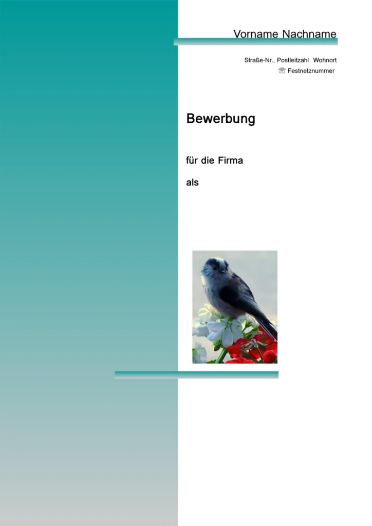 bewerbung-vorlage-fuer-professionelle-unterlagen