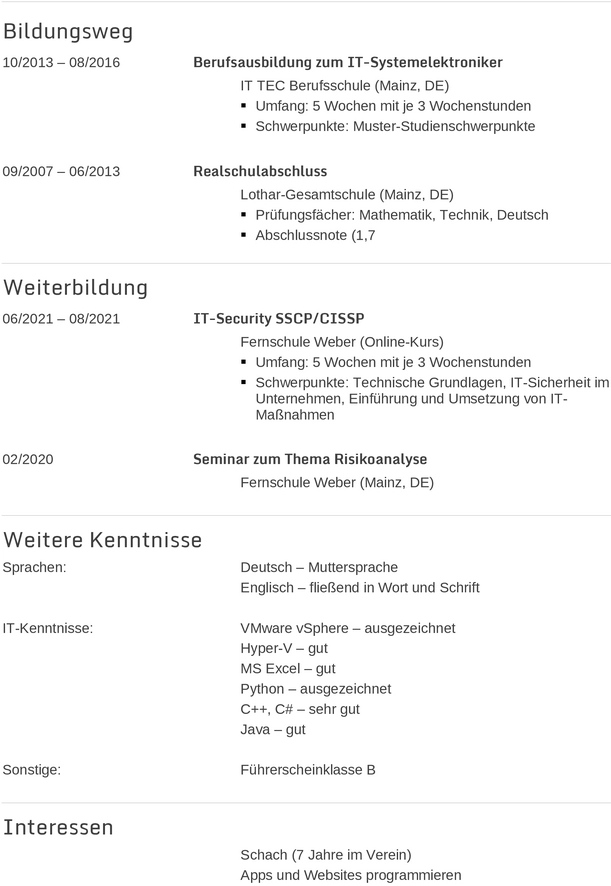 bewerbung-vorlage-pdf-fuer-it-systemelektroniker