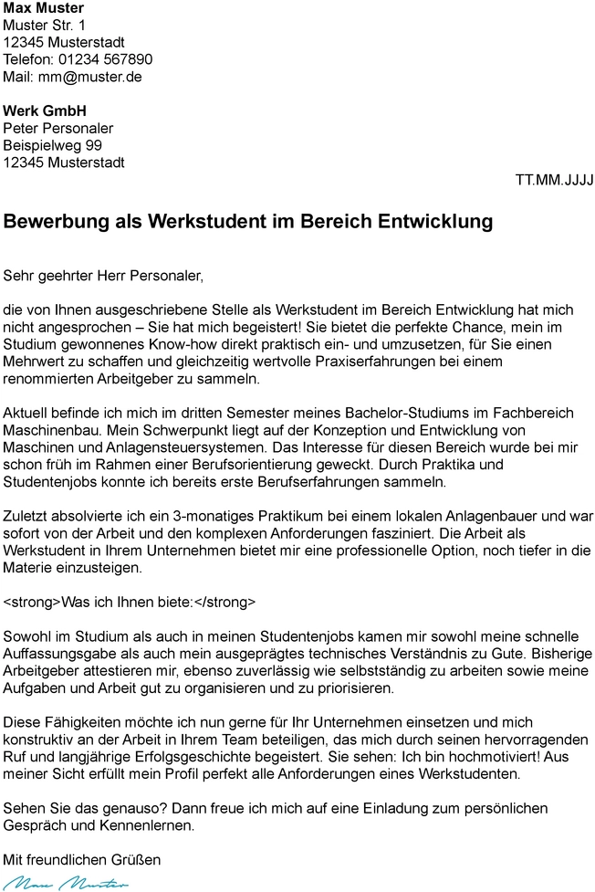bewerbung-werkstudent-entwicklung-vorlage