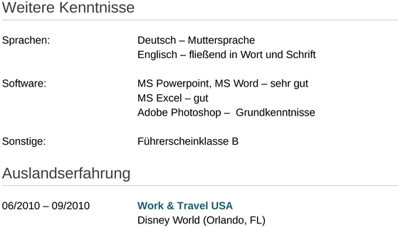 bewerbungsmuster-design-professionell-1.png