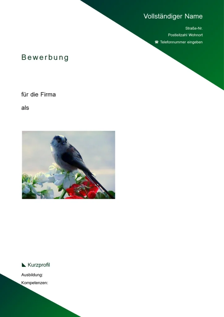 bewerbungsunterlagen-vorlage-fuer-karriere-ziele