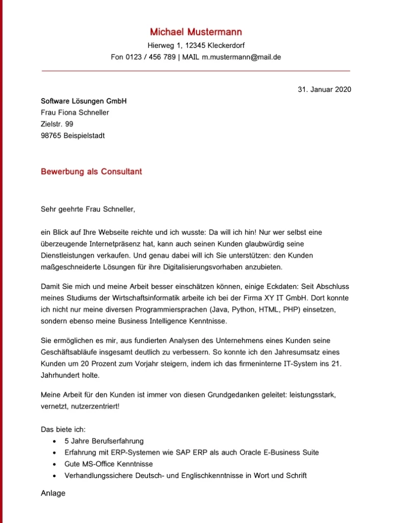 bewerbungsvorlage-consultant-mit-anpassungsmoeglichkeiten