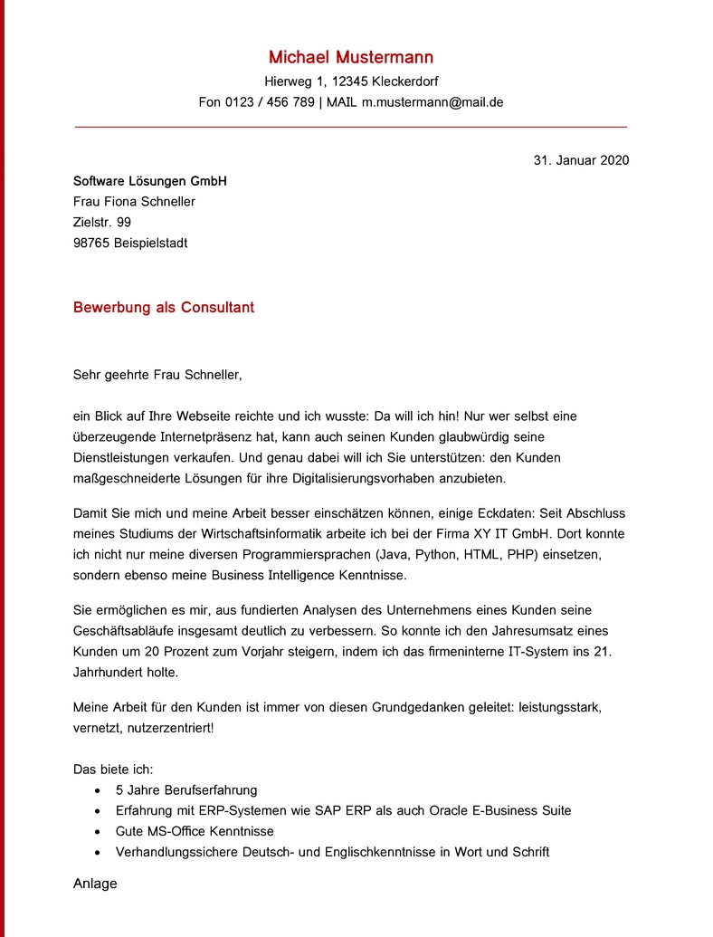 bewerbungsvorlage-consultant-mit-anpassungsmoeglichkeiten