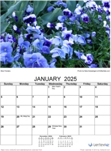blumenkalender-2025-gestalten-fuer-dich