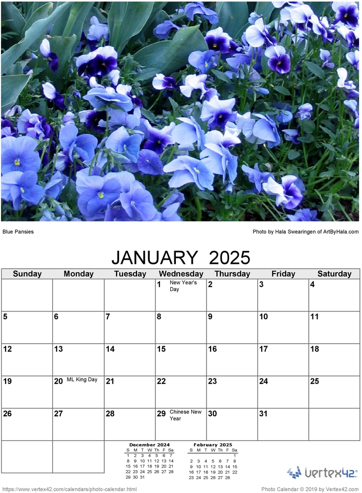 blumenkalender-2025-gestalten-fuer-dich