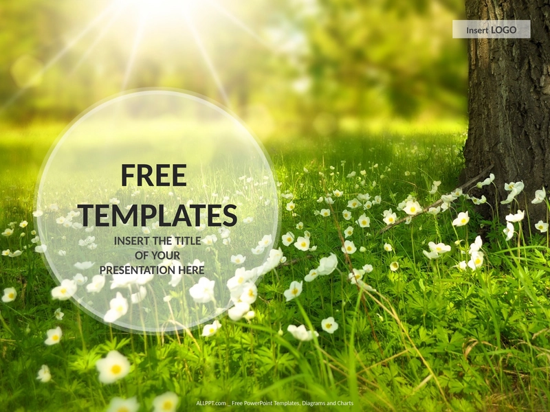 blumenwiese-natur-ppt-standard.png