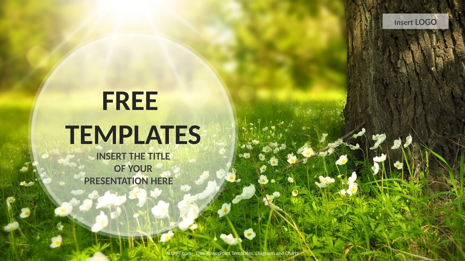 blumenwiese-natur-ppt-widescreen.png