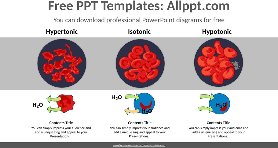 blutkrankheiten-powerpoint-diagram.png