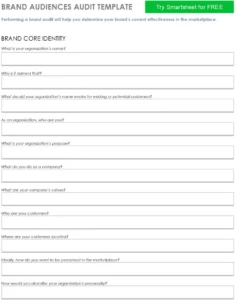 brand-audiences-audit-vorlage