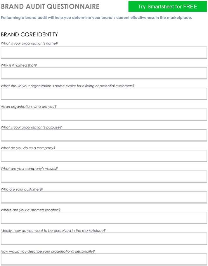 brand-audit-fragebogen-11210_pdf.png
