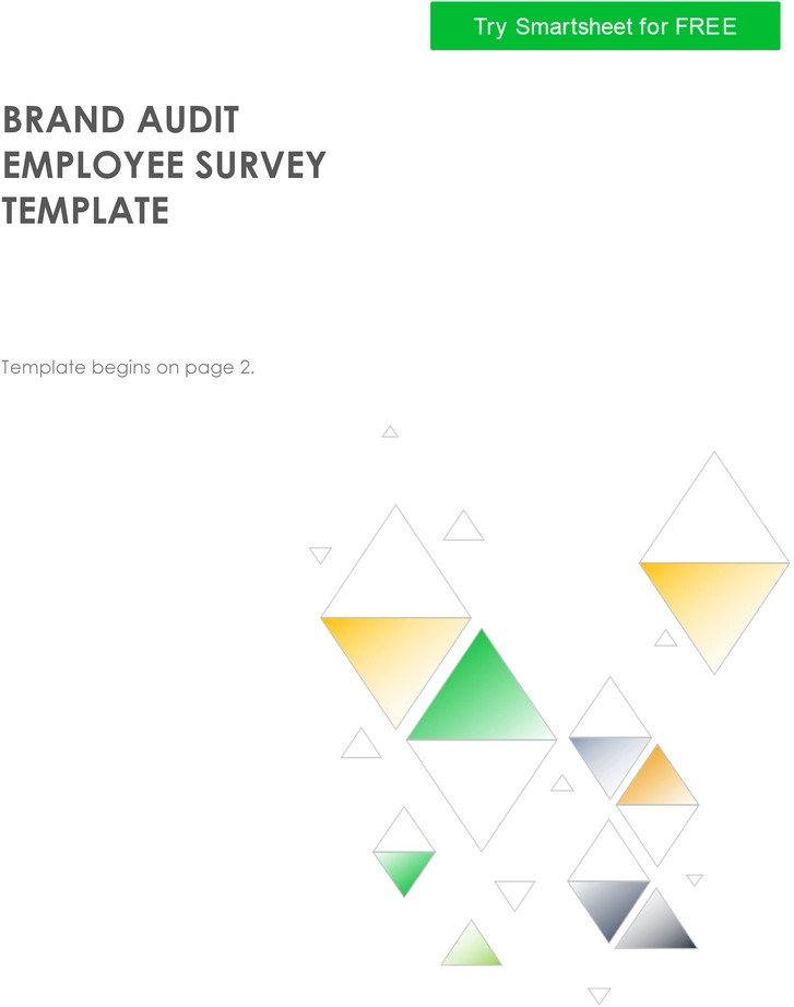 brand-audit-mitarbeiterbefragung-pdf.png