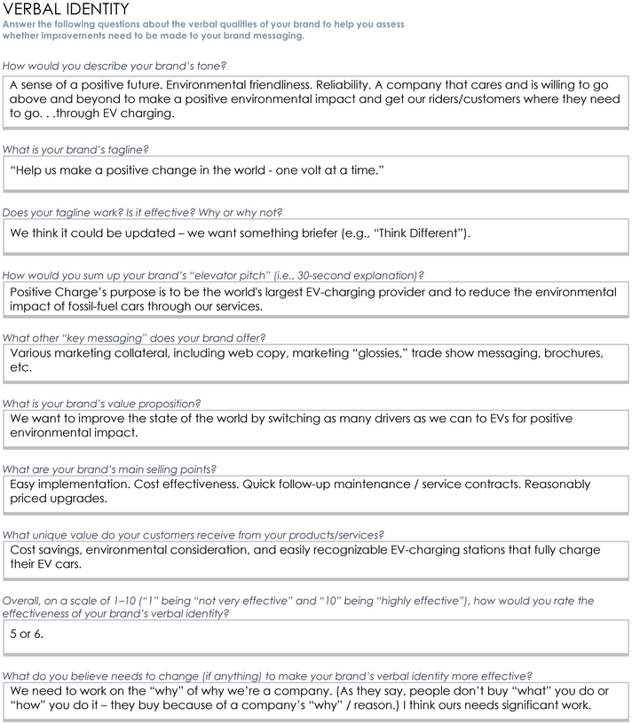 brand-audit-template-example-11210.png