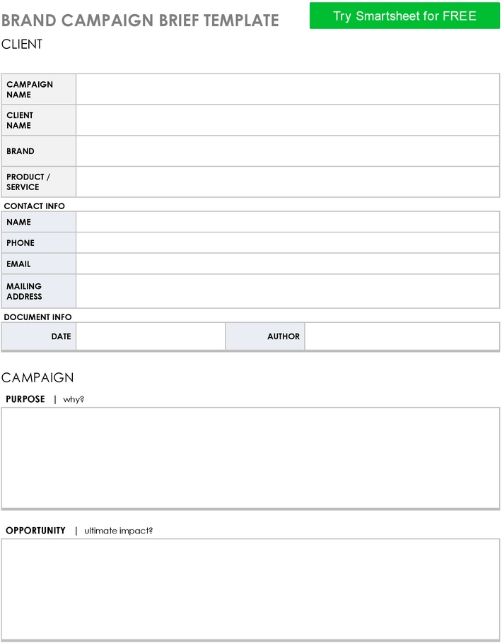 brand-campaign-brief-pdf-zur-effektiven-kampagnenplanung